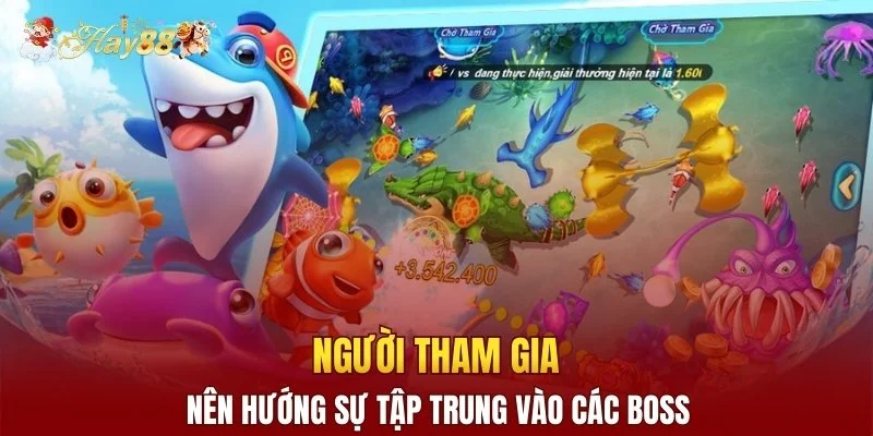 Người tham gia nên hướng sự tập trung vào các boss